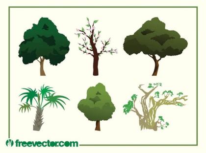 Tree Images Free Vector