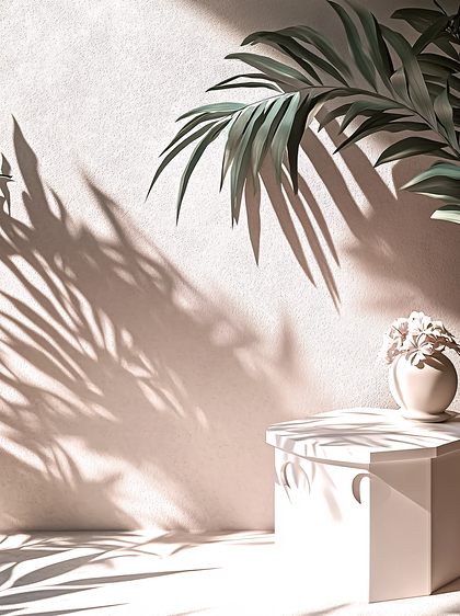 Tropical Palm Shadow Scene