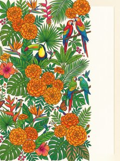 Tropical Garden