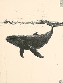 Underwater Whale