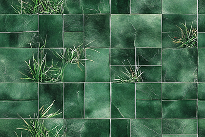 Verdant Mosaic with Emerging Grass