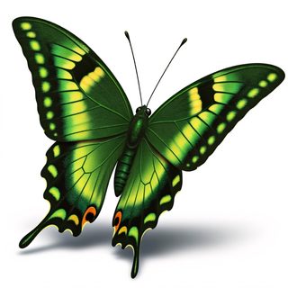green swallowtail butterfly