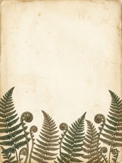 vintage fern border