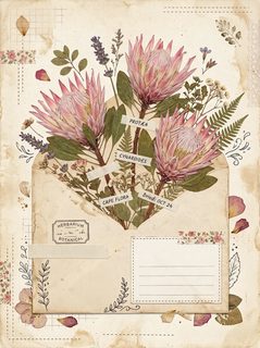 vintage botanical herbarium
