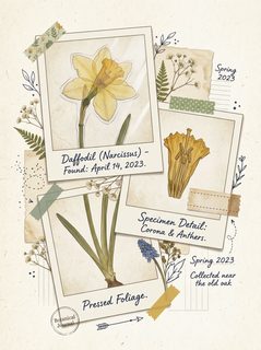 botanical journal collage