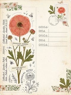 vintage botanical notes