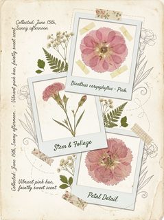 pressed flower scrapbook