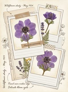 vintage botanical scrapbook