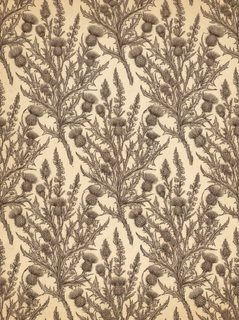 thistle floral pattern