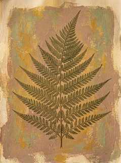 vintage-fern-illustration
