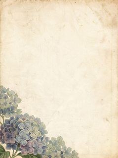 vintage hydrangea stationery