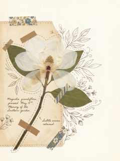 pressed-magnolia-art
