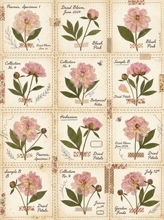 vintage peony collage