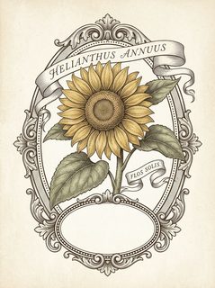sunflower-botanical-frame