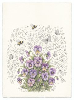 viola flower botanical art