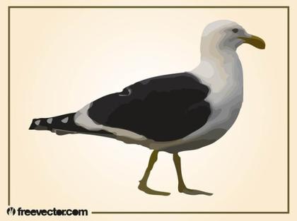 Walking Seagull Free Vector