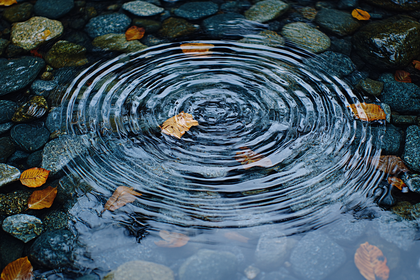 Water Ripples on Stony Bed with Autumn Leaves