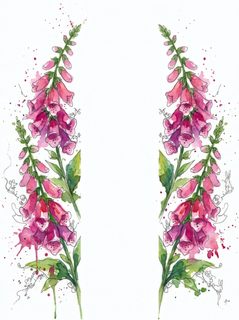 foxglove floral border