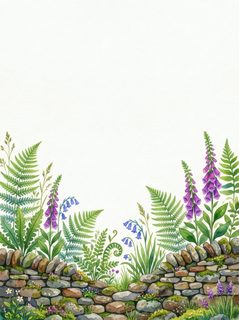 foxglove stone wall