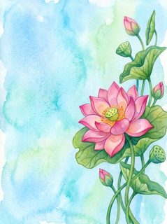 watercolor lotus flower