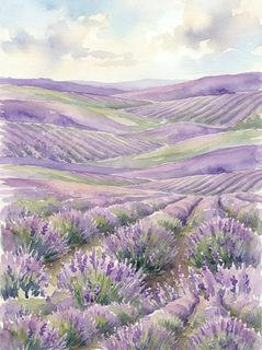 Lavender Fields Watercolor