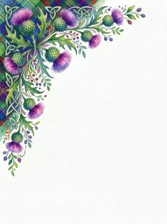 thistle floral border
