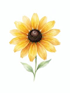 watercolor yellow flower