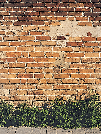 Weathered Brick Wall with Greenery