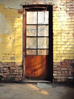 Weathered Doorway with Brick
