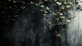 Weathered Wall With Ivy