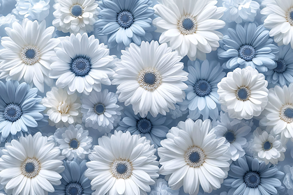 White And Blue Daisies