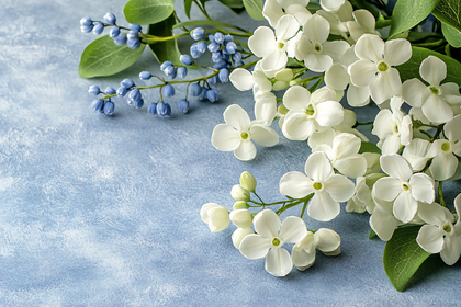 White Flowers and Blue Buds on Blue Textured Background