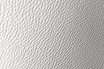 White Leather Texture