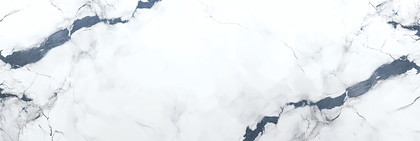 White Marble with Dark Veins