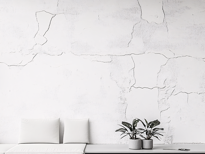 White Wall with Plants and Pillows