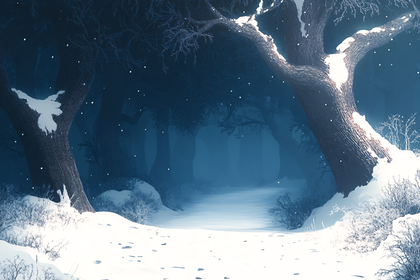 Winter Forest Night Scene