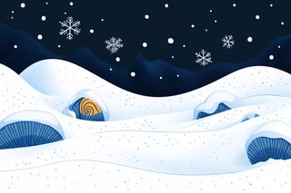 Winter Mushroom Homes