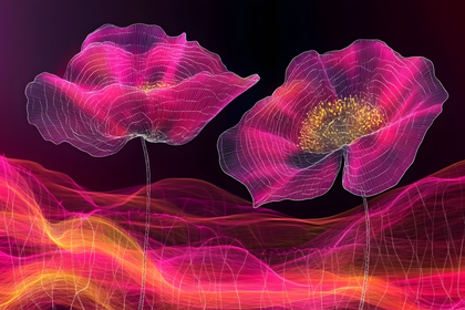 Wireframe Poppies