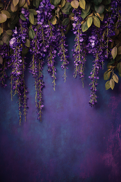 Wisteria Blossoms on Purple Background