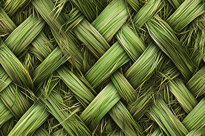 Woven Green Grass Texture