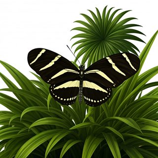 Butterfly on Leaves