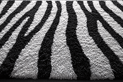 Zebra Pattern Rug Texture