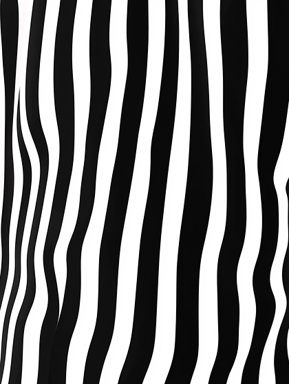 Zebra Stripes Pattern