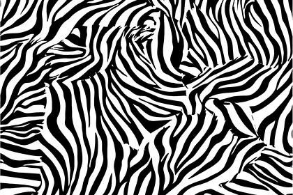 Zebra Stripes Pattern