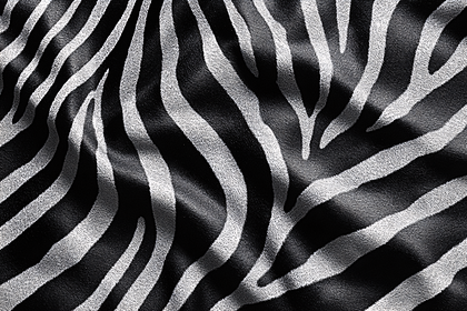 Zebra Stripes Pattern