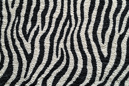 Zebra Stripes Texture